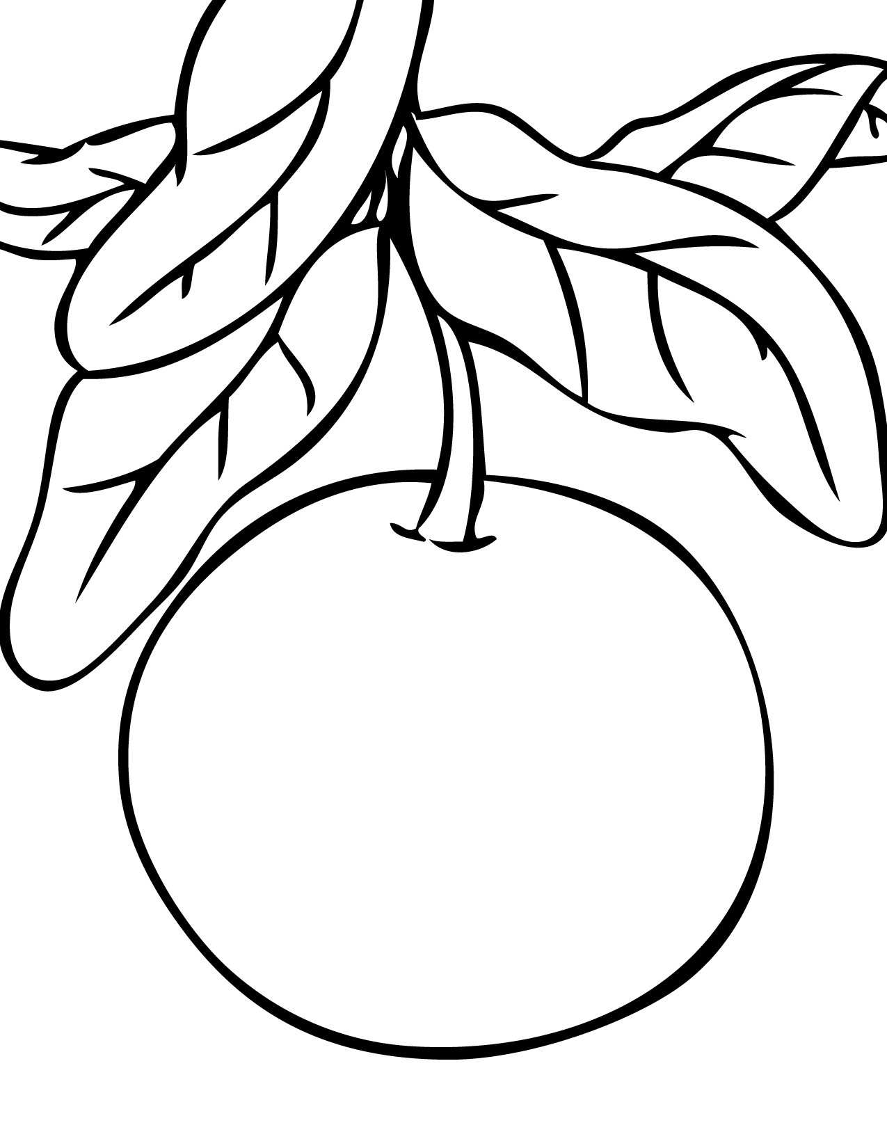 tangerine coloring pages - photo #18