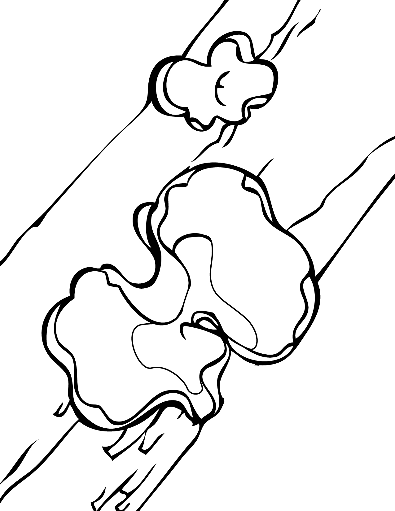 eared pages 90 coloring page ear corn on the cob coloring pages of ears eared pages 90 coloring page ear corn on the cob coloring pages of ears